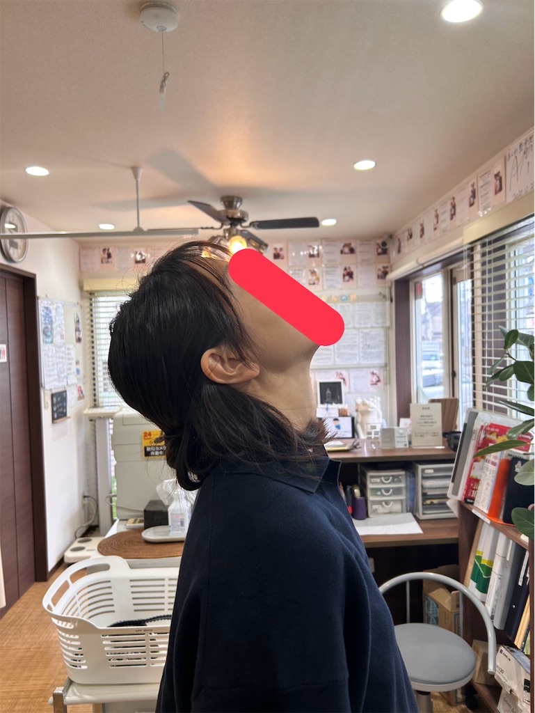 f:id:shinya03129696:20250331165718j:image