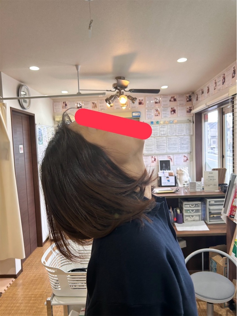 f:id:shinya03129696:20250331165720j:image