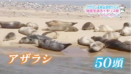 f:id:shinya1996:20150508215825p:plain