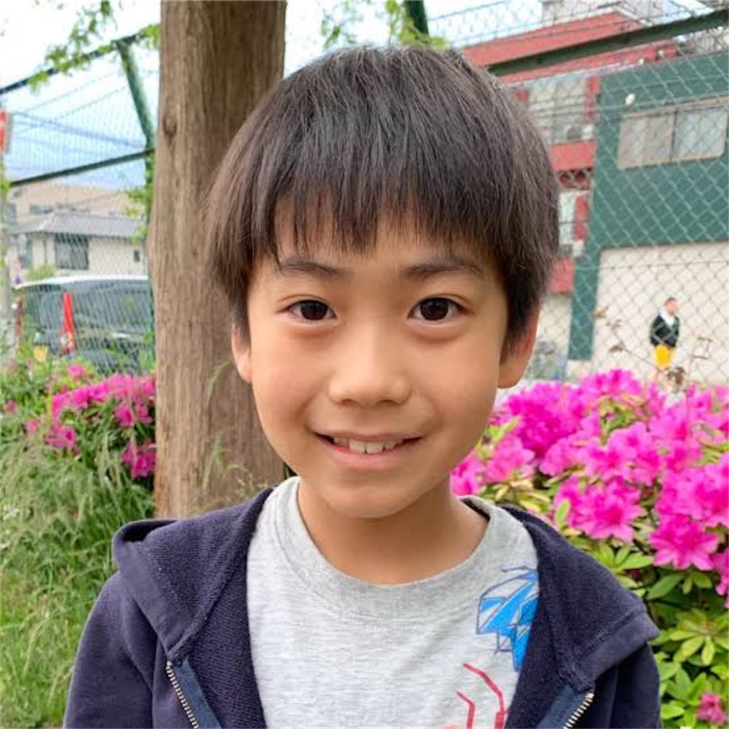 f:id:shinya41263:20190813100341j:image