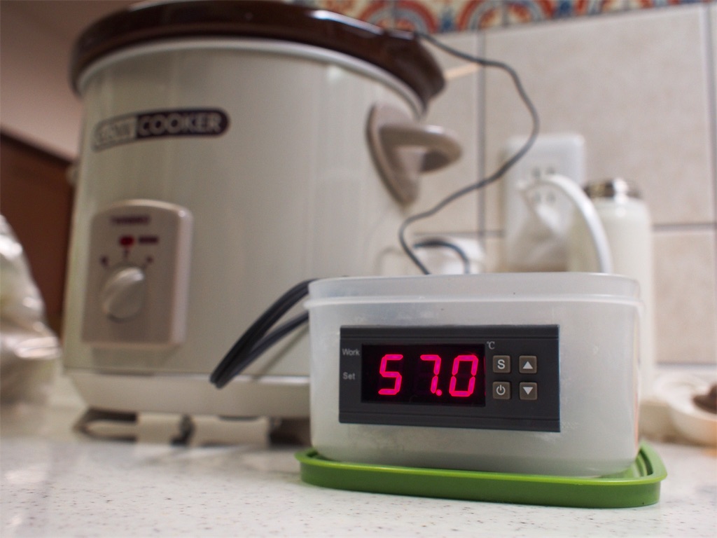 f:id:shinya_gohan:20190617095112j:image