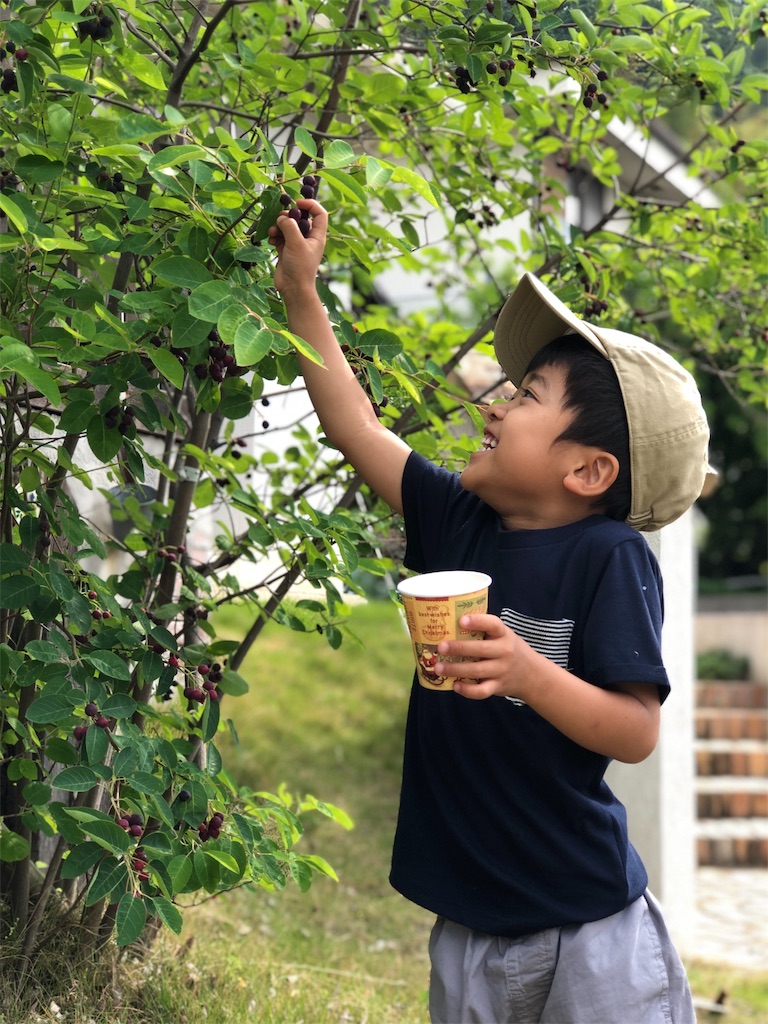 f:id:shinya_gohan:20190804232152j:image
