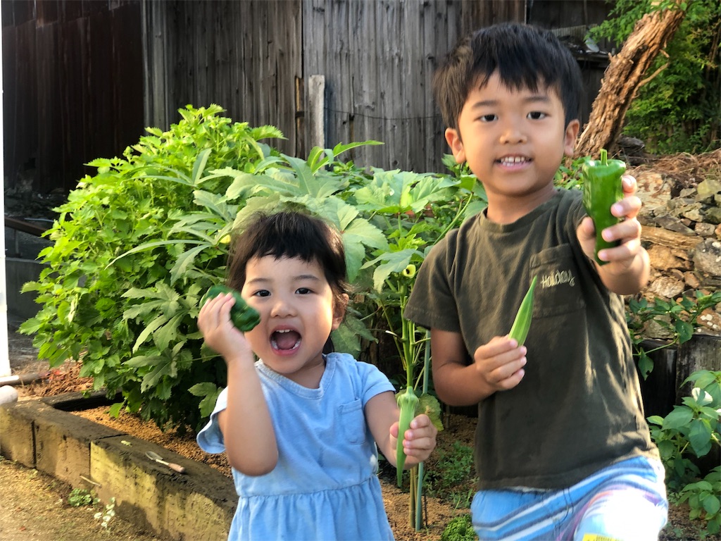 レシピ レンジで時短 半熟味玉と生ハムのポテトサラダ しにゃごはん Blog