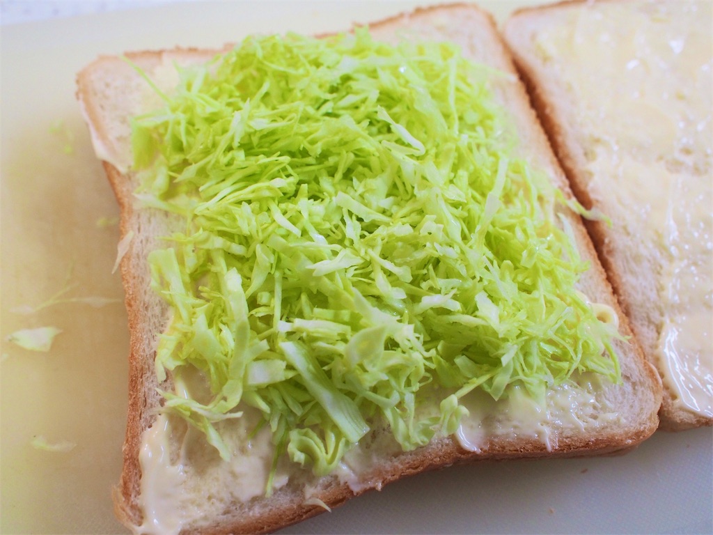 f:id:shinya_gohan:20191109223903j:image