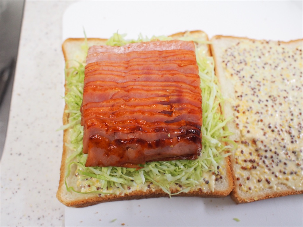 f:id:shinya_gohan:20200130215718j:image