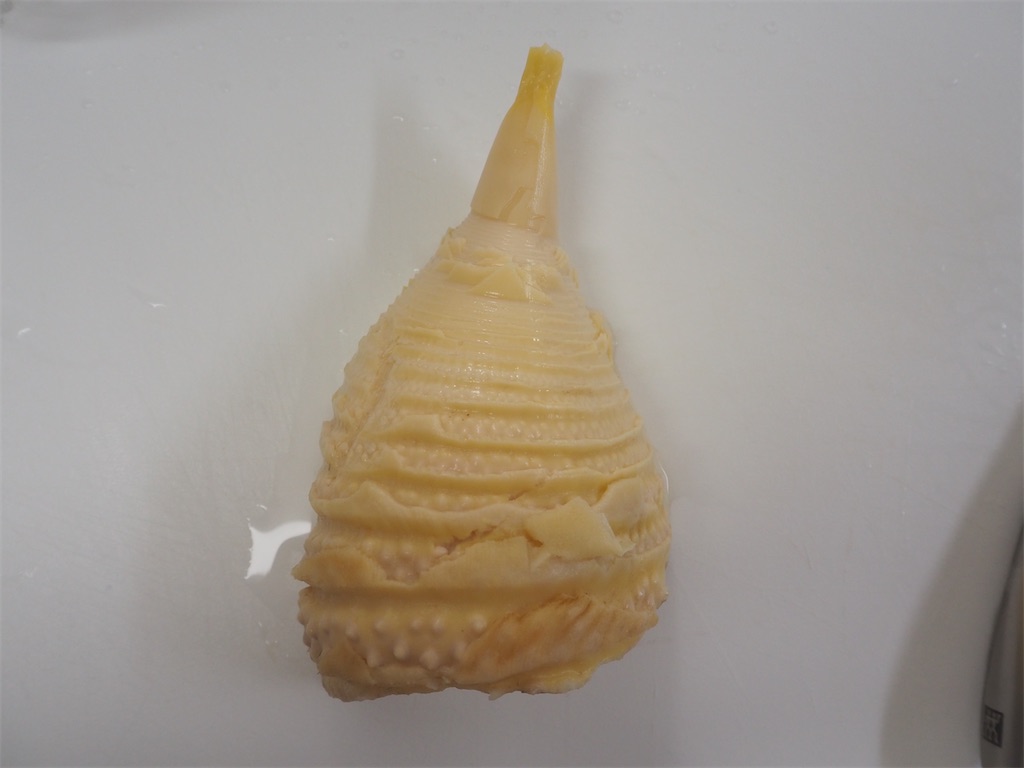 f:id:shinya_gohan:20200412063232j:image