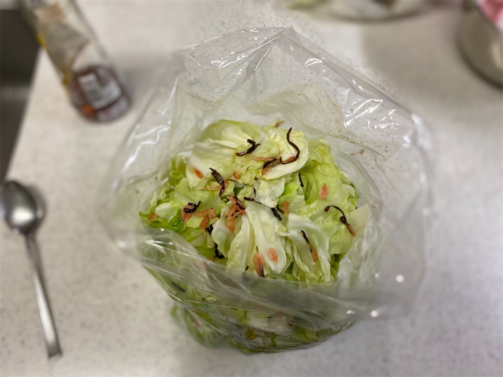 f:id:shinya_gohan:20210108055658j:image