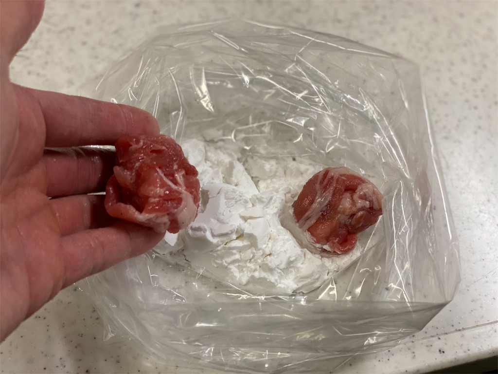 f:id:shinya_gohan:20210410073713j:image