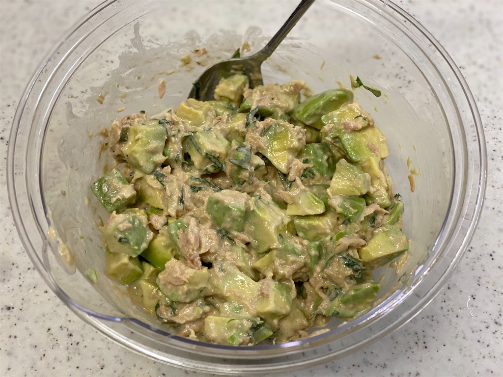 f:id:shinya_gohan:20210515071324j:image