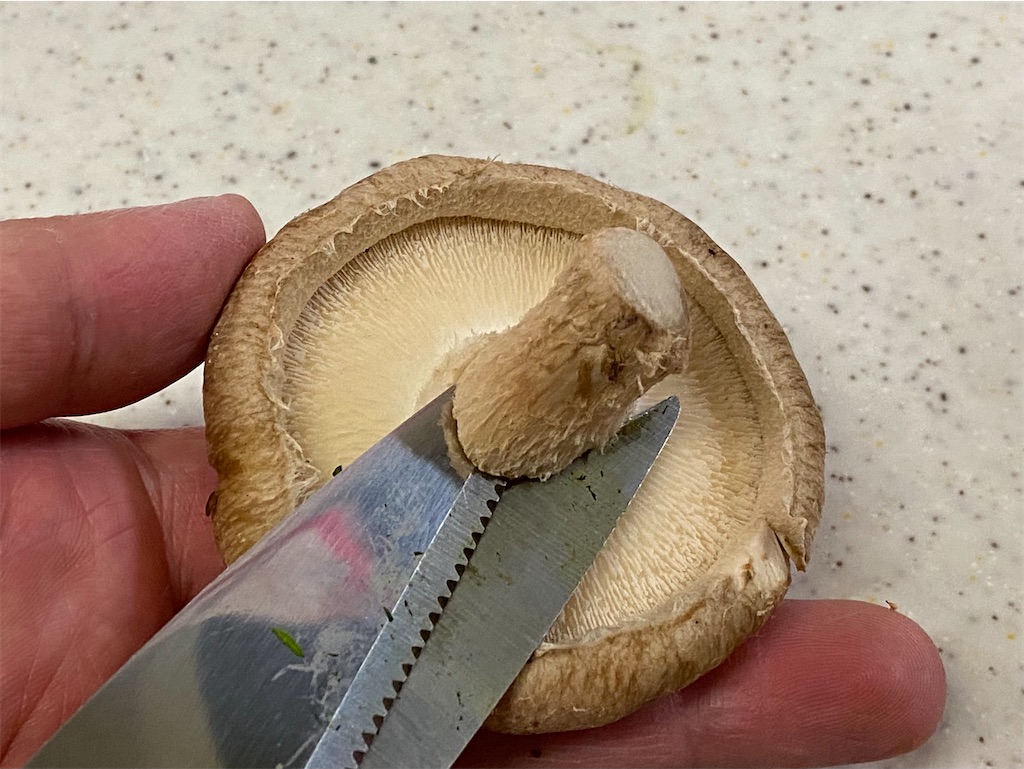 f:id:shinya_gohan:20210611062626j:image