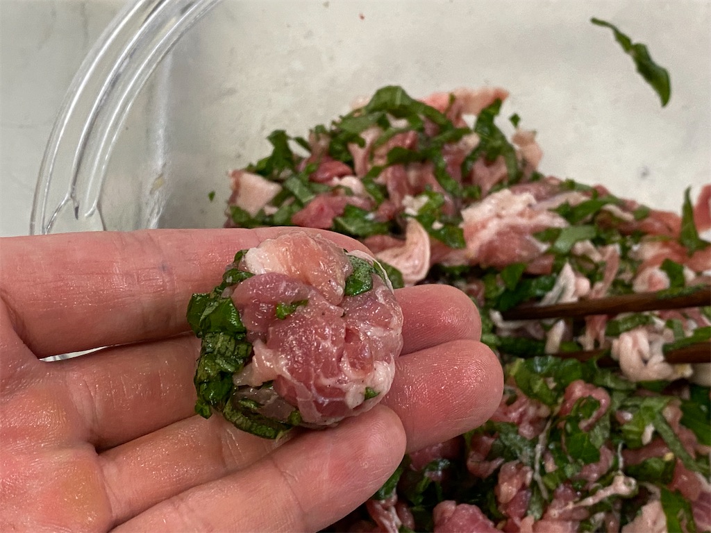 f:id:shinya_gohan:20210703221802j:image