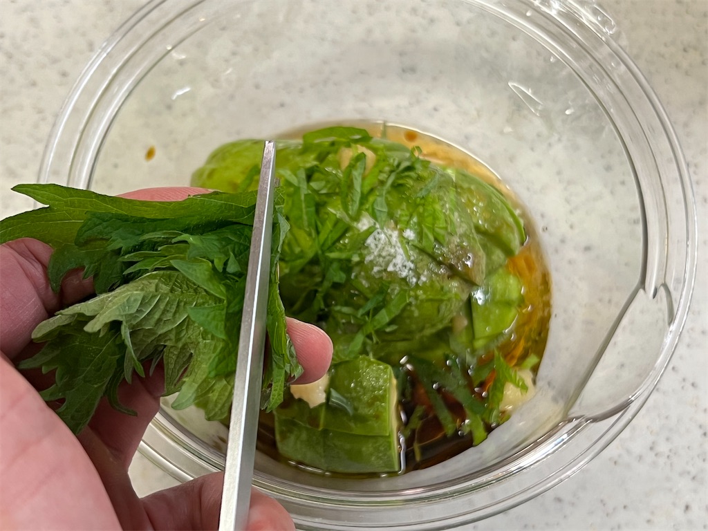 f:id:shinya_gohan:20220205071536j:image