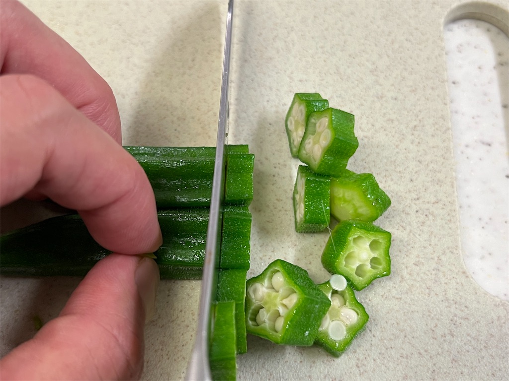 f:id:shinya_gohan:20220710064412j:image