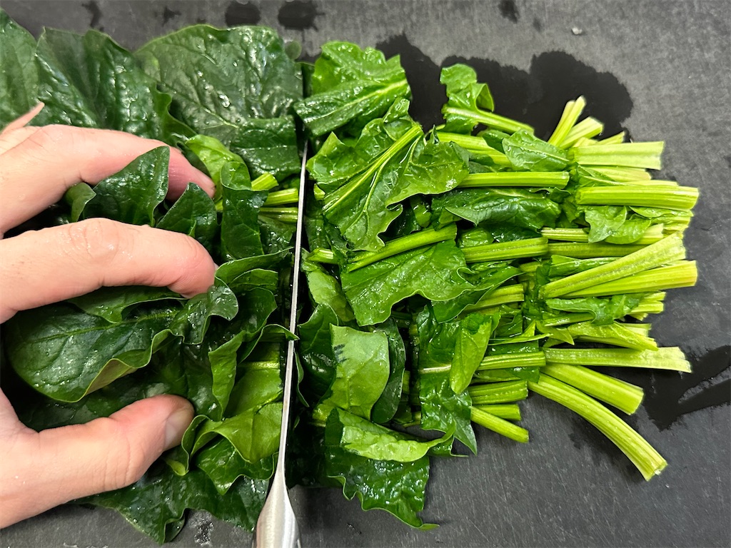 f:id:shinya_gohan:20230322072350j:image f:id:shinya_gohan:20230322072350j:image