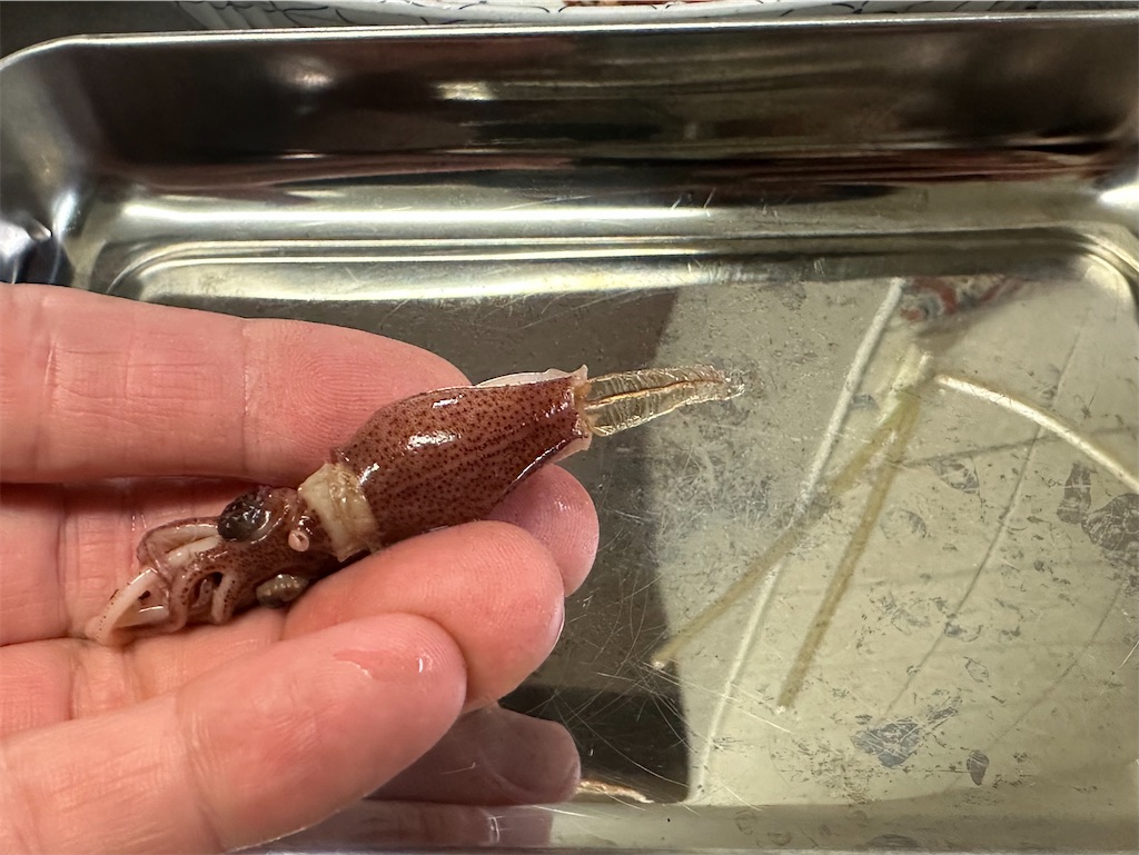 f:id:shinya_gohan:20230408081434j:image f:id:shinya_gohan:20230408081434j:image