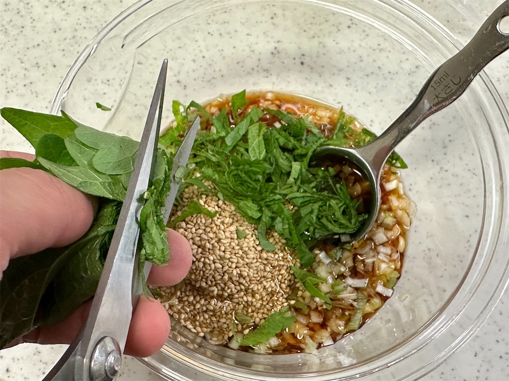 f:id:shinya_gohan:20230420201007j:image