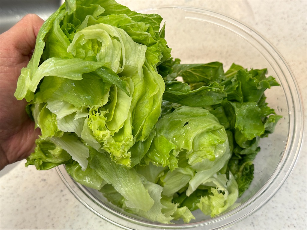 f:id:shinya_gohan:20230814074426j:image f:id:shinya_gohan:20230814074426j:image