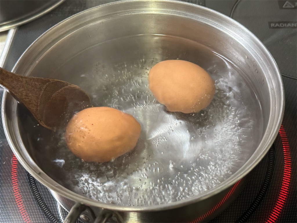 f:id:shinya_gohan:20231014100120j:image