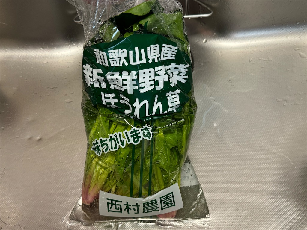 f:id:shinya_gohan:20240226064234j:image