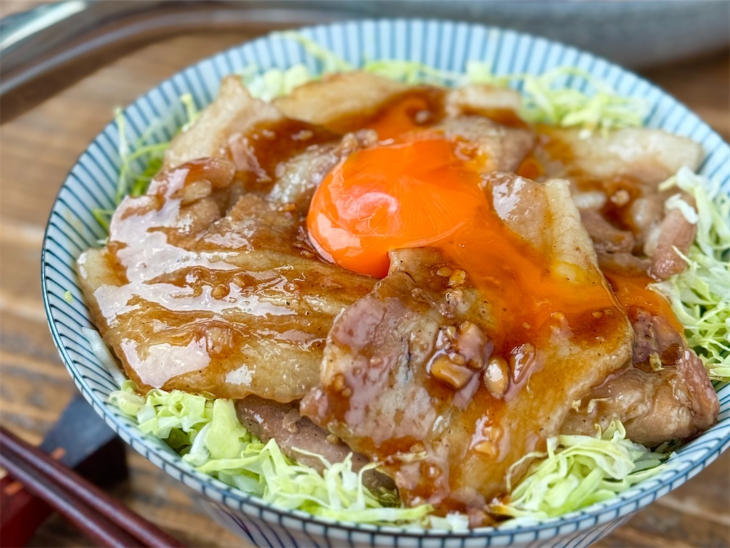 f:id:shinya_gohan:20240429141209j:image