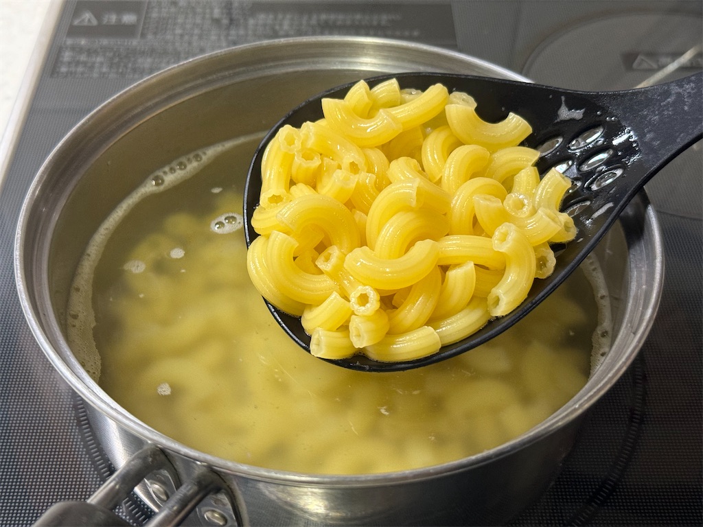 f:id:shinya_gohan:20240503035253j:image