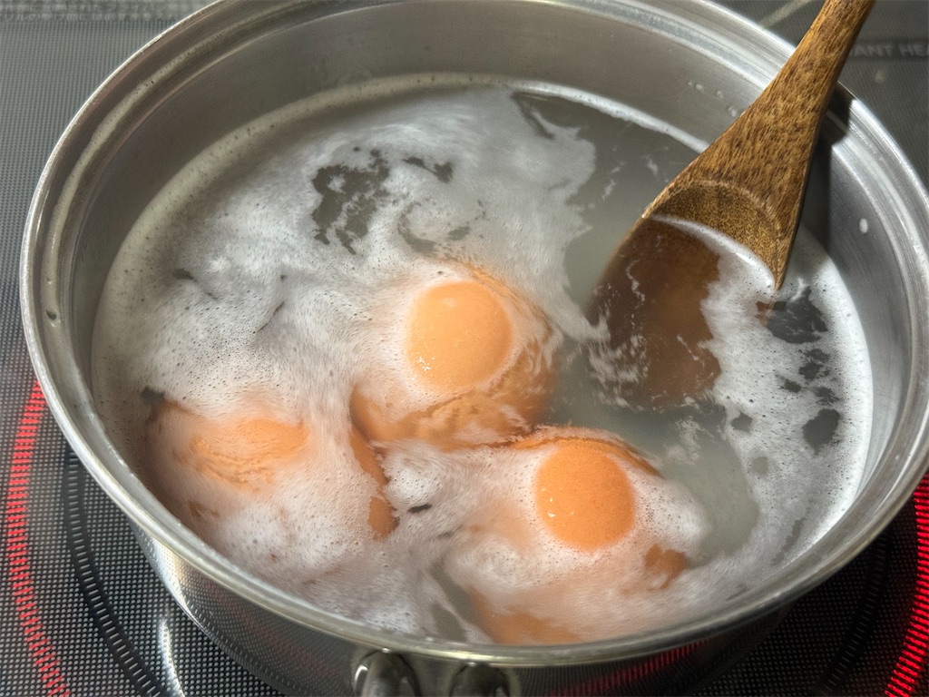 f:id:shinya_gohan:20240503035256j:image