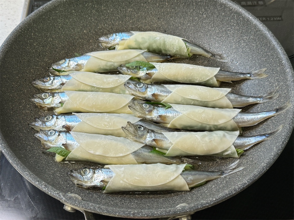 f:id:shinya_gohan:20240511125508j:image