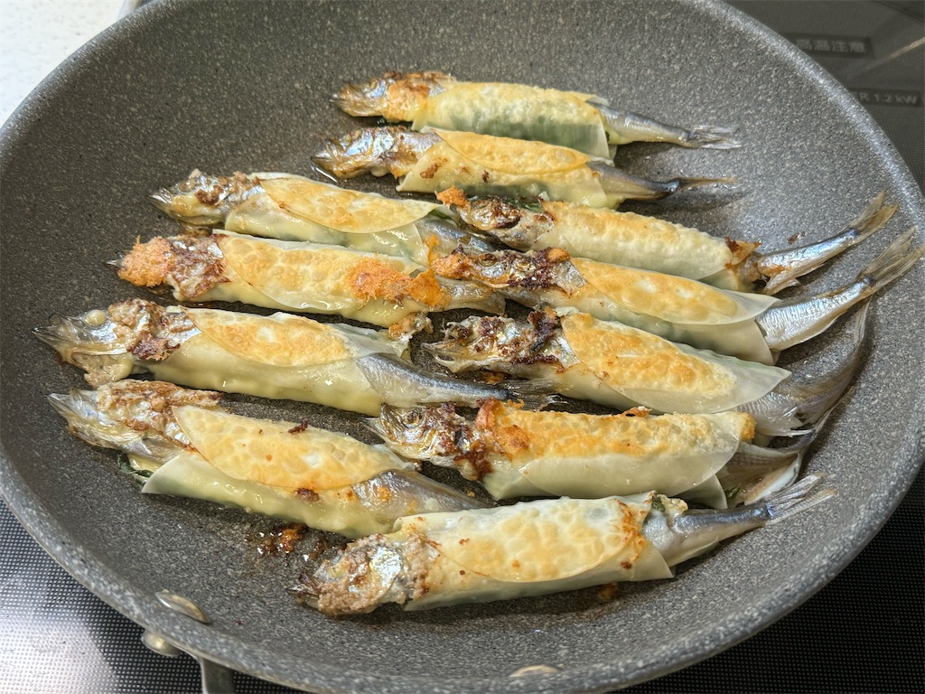 f:id:shinya_gohan:20240511125703j:image