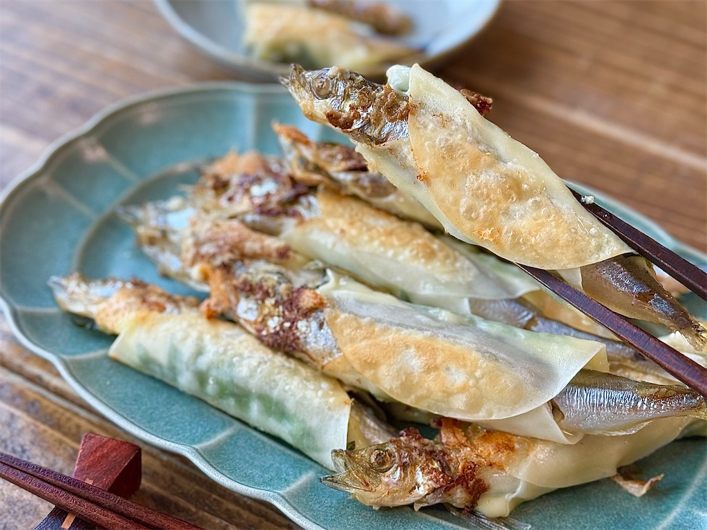 f:id:shinya_gohan:20240511125747j:image