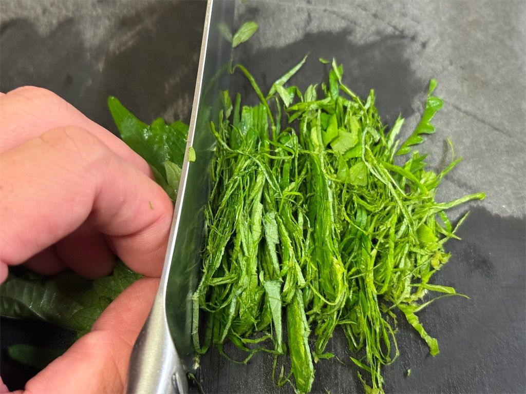 f:id:shinya_gohan:20241026075339j:image