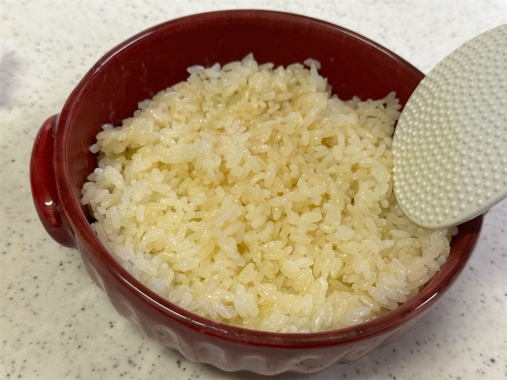 f:id:shinya_gohan:20241027081352j:image