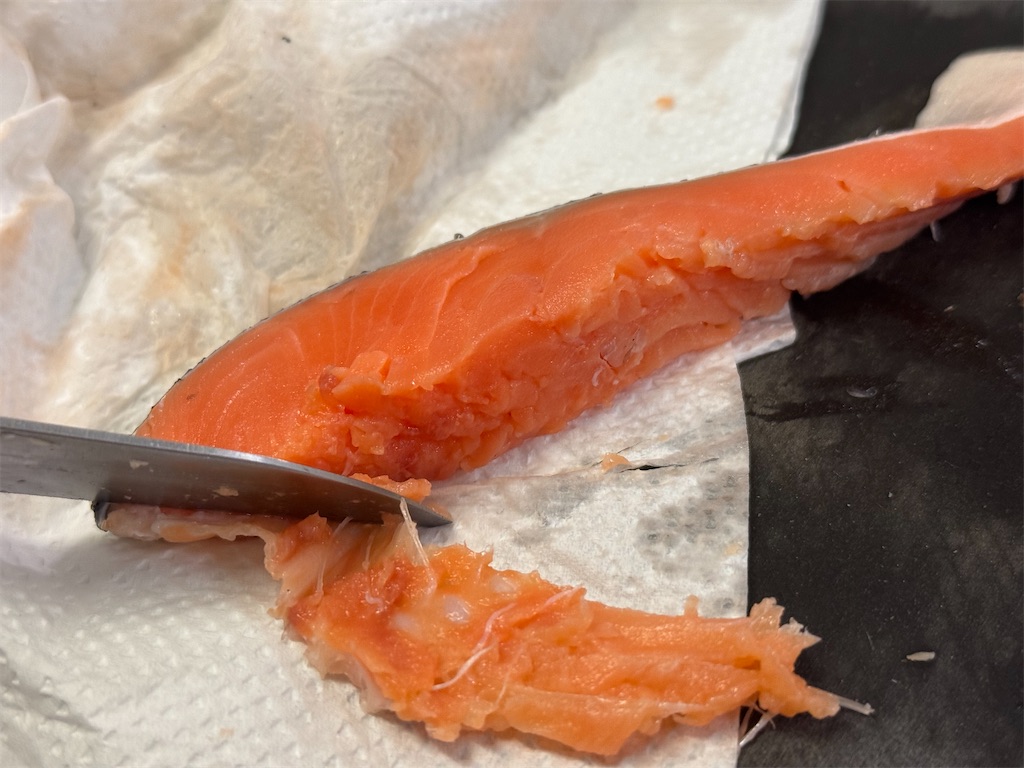 f:id:shinya_gohan:20241127073445j:image