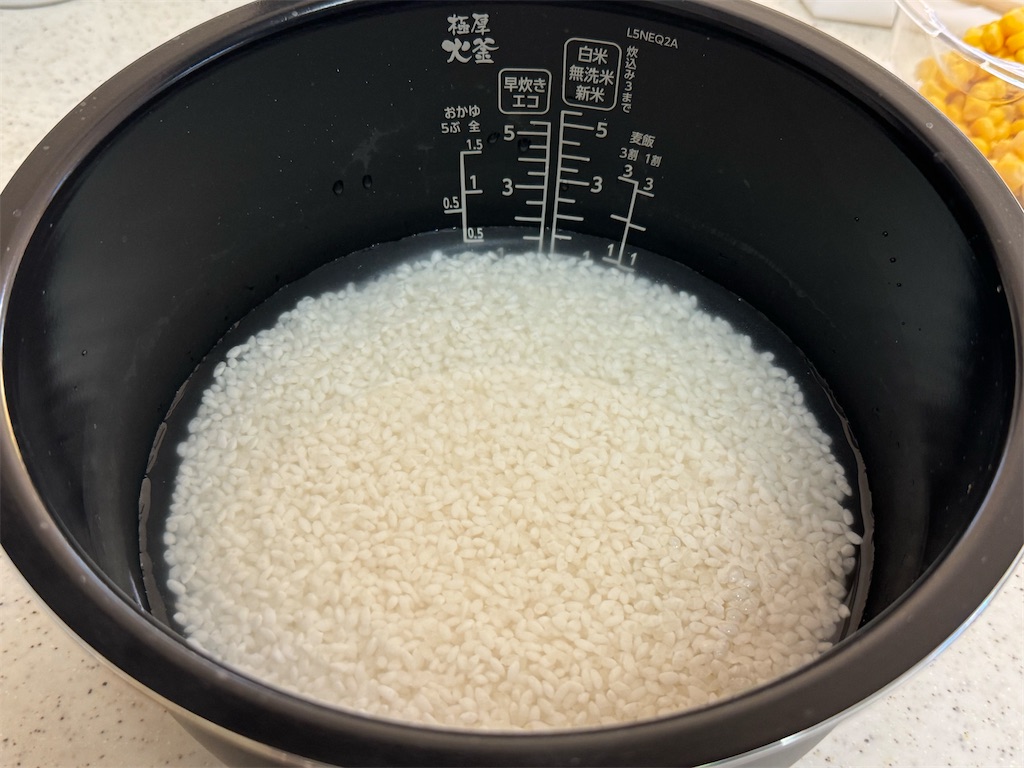 f:id:shinya_gohan:20250112085102j:image