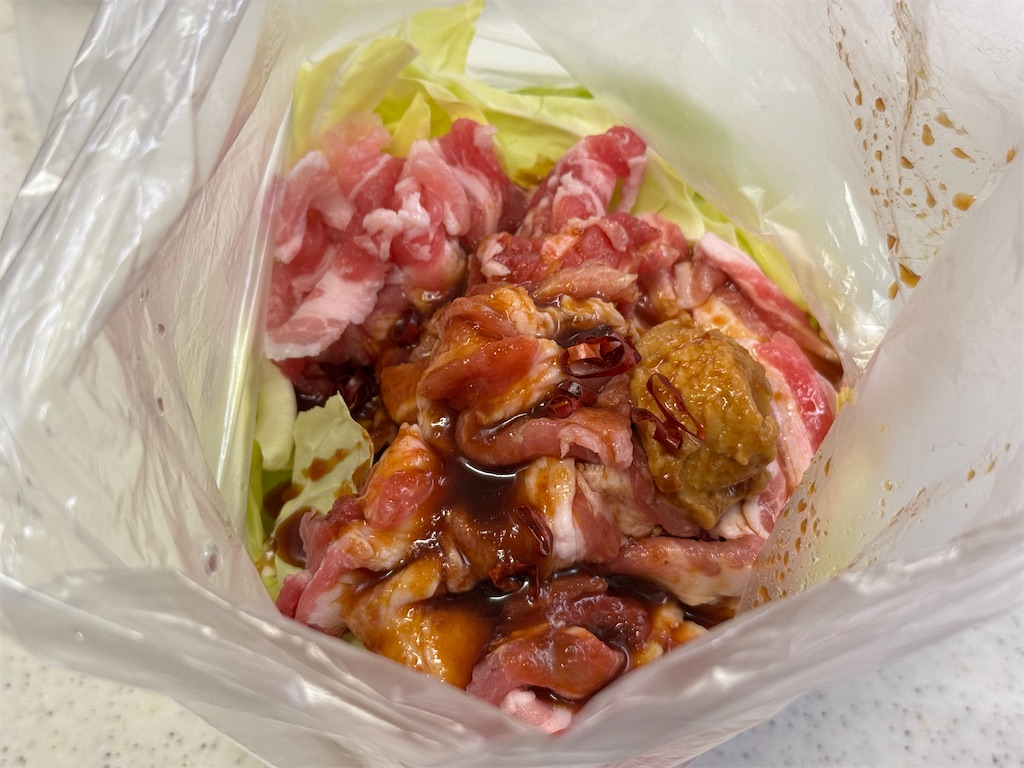 f:id:shinya_gohan:20250122071134j:image