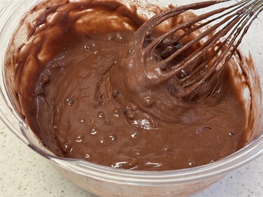 f:id:shinya_gohan:20250127202548j:image