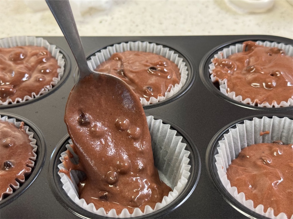 f:id:shinya_gohan:20250127203908j:image