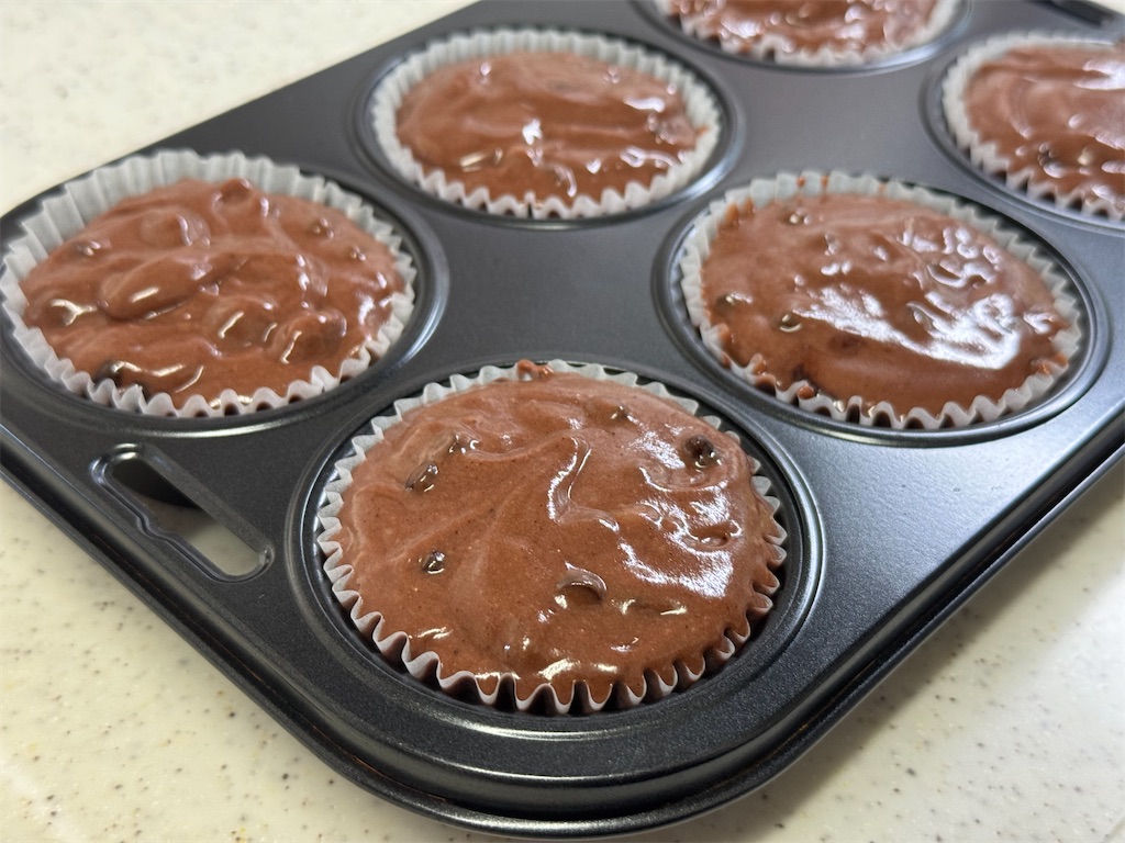 f:id:shinya_gohan:20250127203911j:image