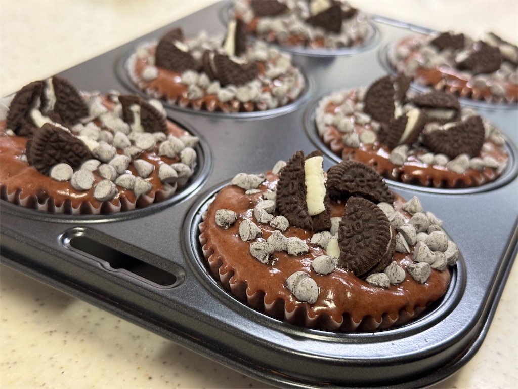 f:id:shinya_gohan:20250127204049j:image