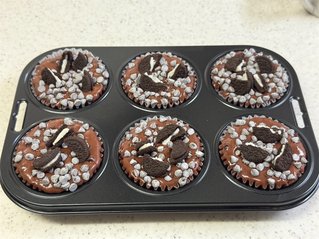 f:id:shinya_gohan:20250127204052j:image