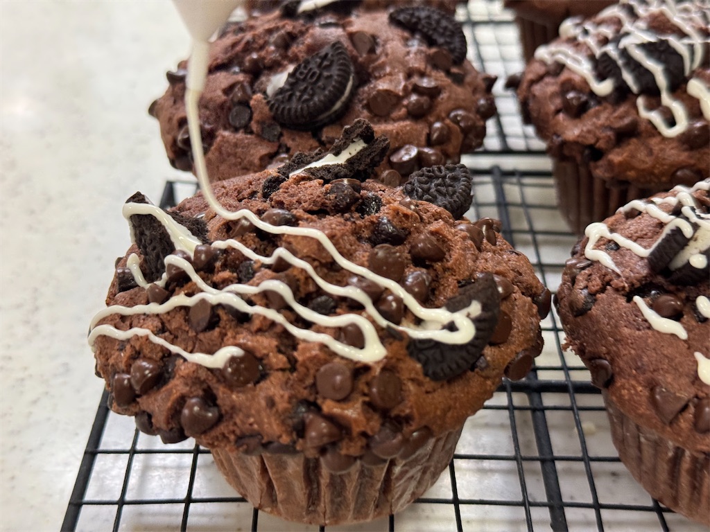 f:id:shinya_gohan:20250127204828j:image