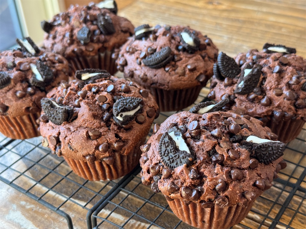 f:id:shinya_gohan:20250127204832j:image