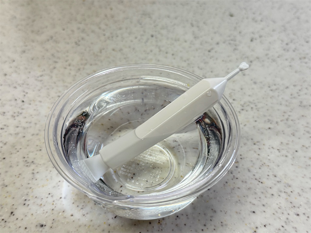 f:id:shinya_gohan:20250127210726j:image