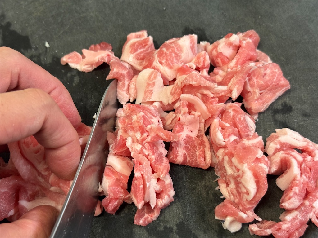 f:id:shinya_gohan:20250908195154j:image