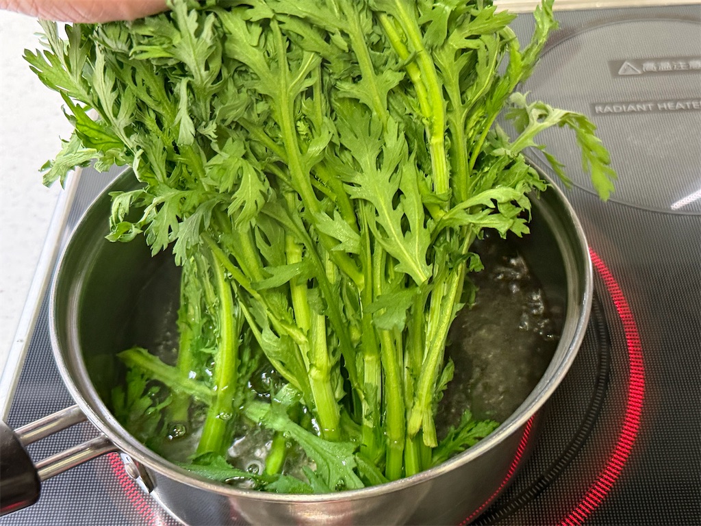 f:id:shinya_gohan:20260226064850j:image