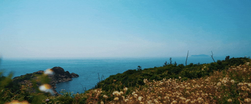 f:id:shinya_kumatter:20180725043026g:plain