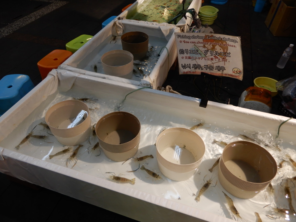 f:id:shinya_owl_net:20181008101546j:plain f:id:shinya_owl_net:20181008101546j:plain