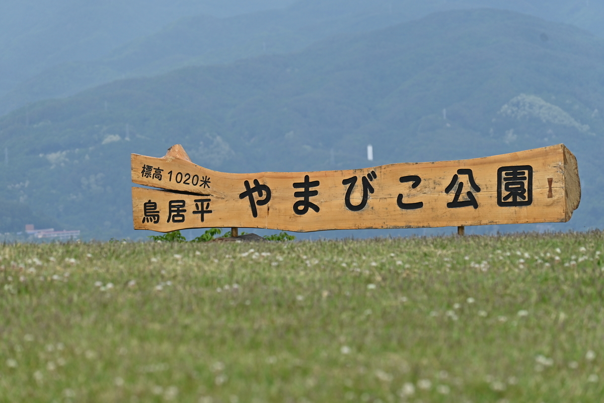 f:id:shinyatakagi1103:20210120205719j:plain