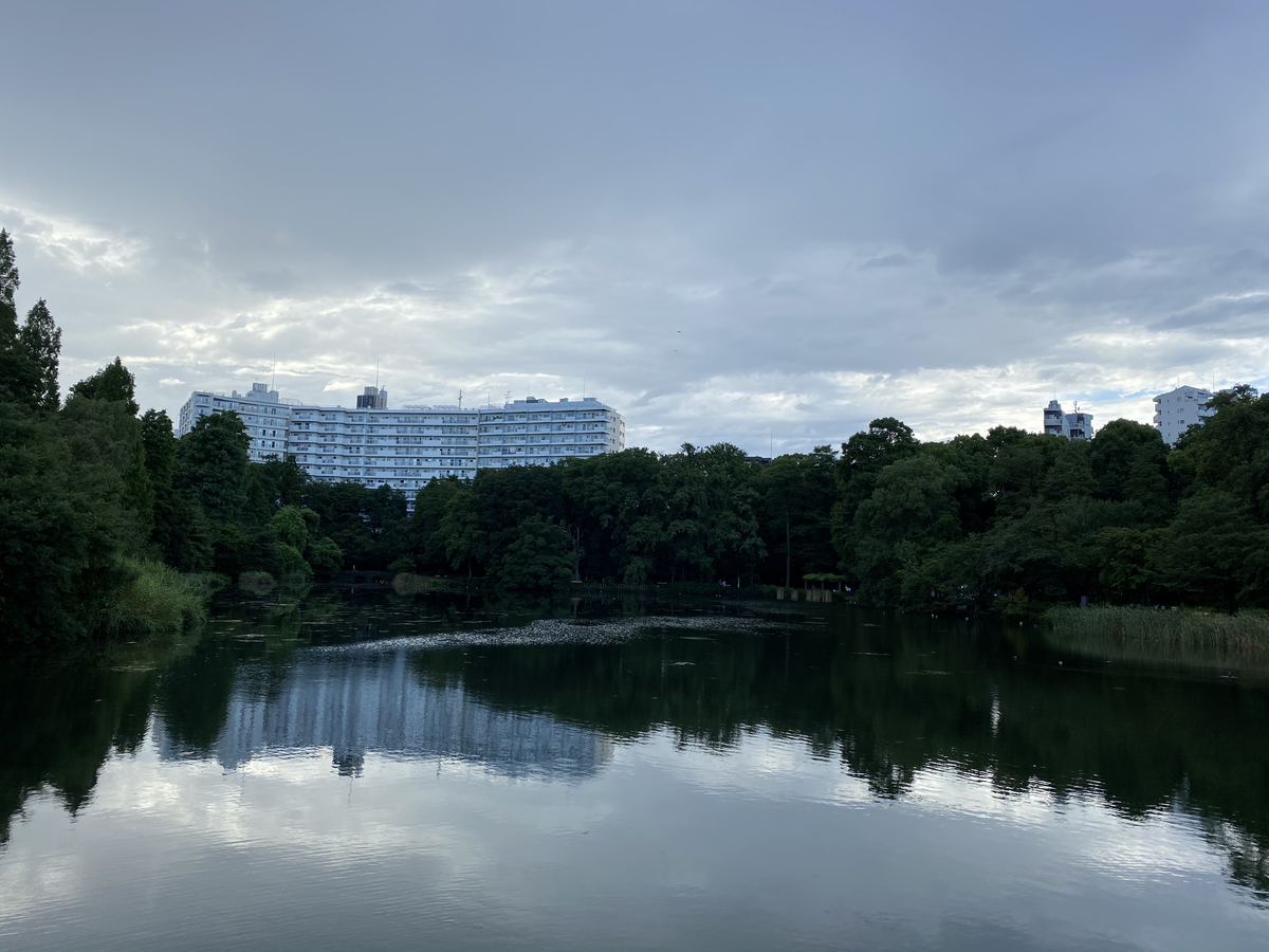 f:id:shinyorke:20200905113453j:plain f:id:shinyorke:20200905113453j:plain