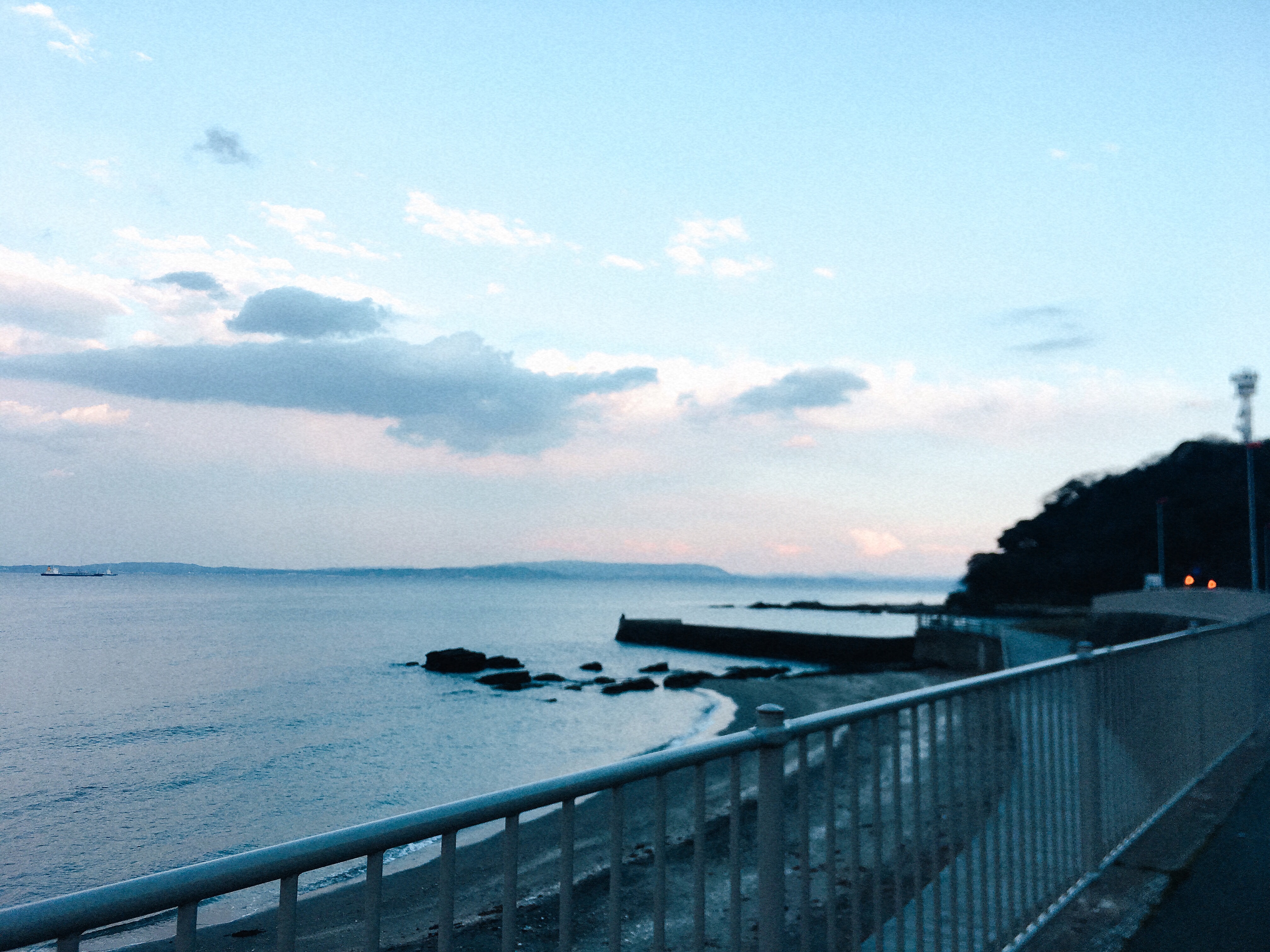 f:id:shinzuka:20190406000223j:image f:id:shinzuka:20190406000223j:image
