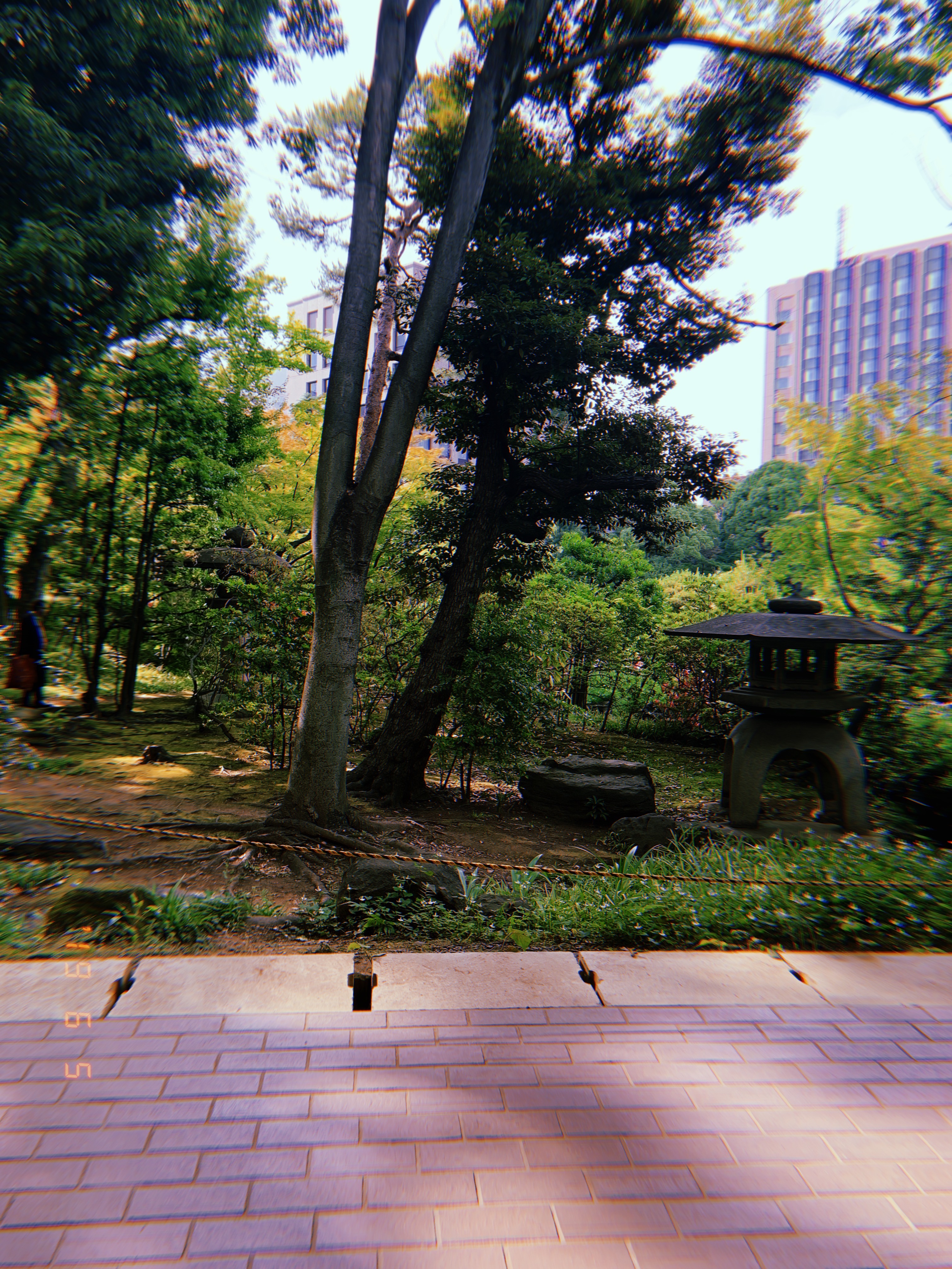 f:id:shinzuka:20190621150225j:image f:id:shinzuka:20190621150225j:image